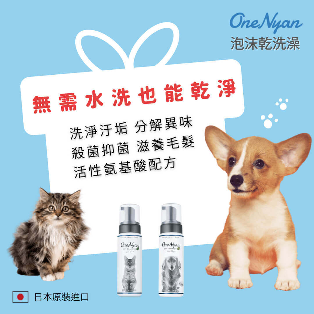 OneNyan泡沫乾洗澡